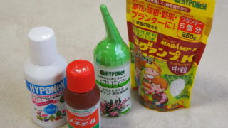 多肉植物・サボテンに使用するオススメの化成肥料と液体肥料
